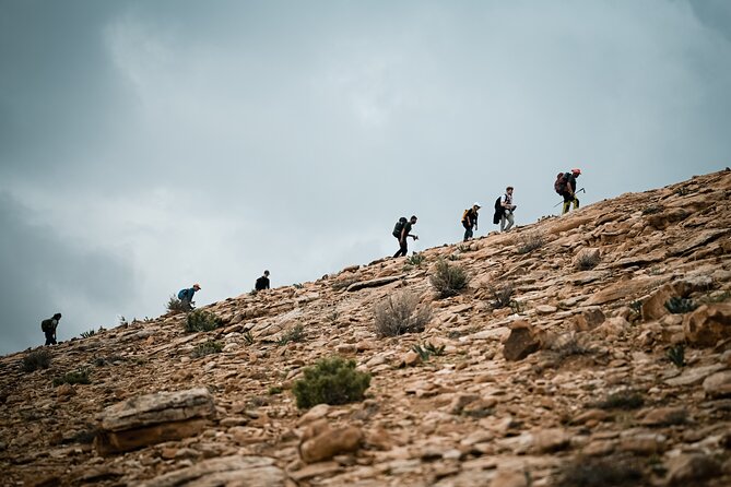 Petra to Wadi Rum Trek - 6 Days - Price and value: what $995 covers (and what it doesn’t)