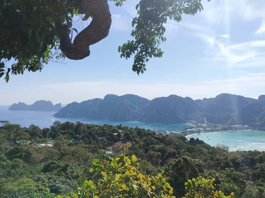 Phi Phi: Guided Jungle Trek & Night Swim with Plankton - Plankton night swim: magical, but manage expectations