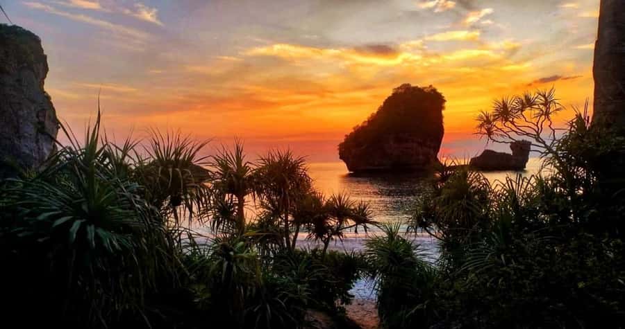 Phi Phi: Guided Jungle Trek & Night Swim with Plankton - Boats, timing, and why the ending at Loh Dalum Beach matters