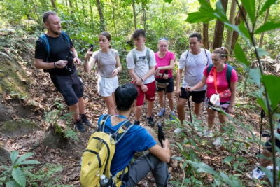 Phu Quoc: Tien Son Dinh 6-Hour Jungle Trekking Adventure - Why the guide experience changes everything