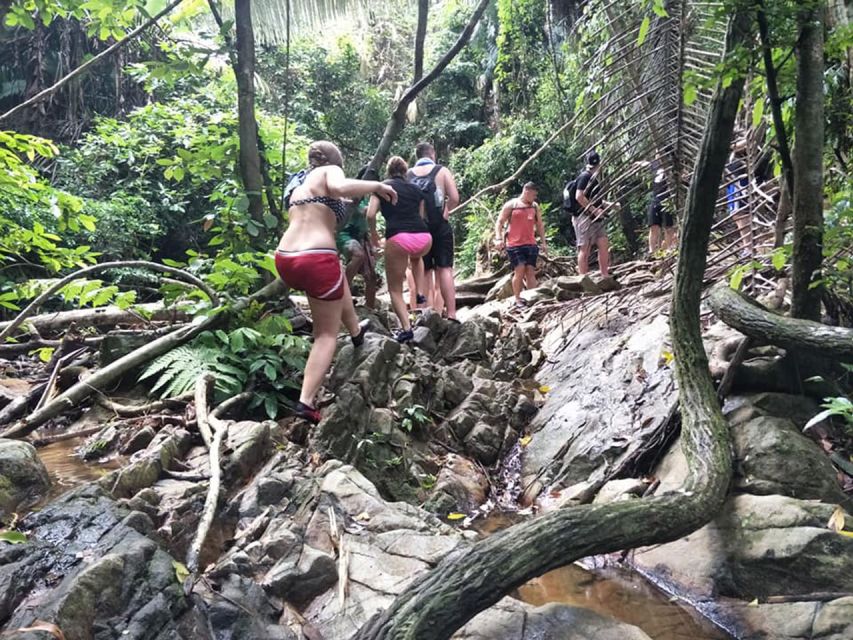 Phuket: Jungle Trekking Experience at Khao Phra Taew - The guide experience: plant facts, animal chances, and hearing it in the moment