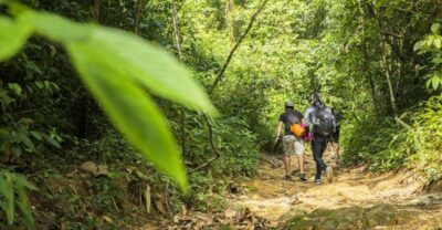 Phuket: Jungle Trekking Experience at Khao Phra Taew - Your route: the 8 km trail and waterfall stops (Ton Sai to Bang Pae)
