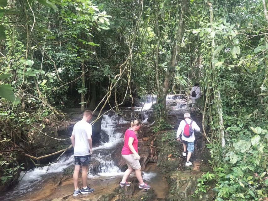Phuket: Jungle Trekking Experience at Khao Phra Taew - Wildlife spotting without the pressure: how to actually enjoy it