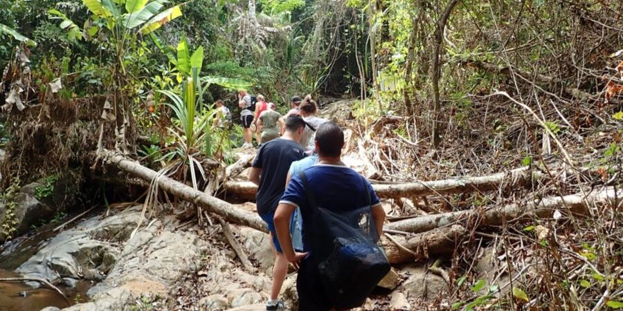 Phuket: Jungle Trekking Experience at Khao Phra Taew - Waterfalls and the jungle shower: what to bring and how to time it