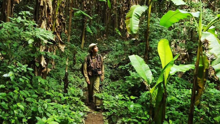 Phuket: Jungle Trekking Experience at Khao Phra Taew - Lunch after the hike: fuel that keeps the day from dragging