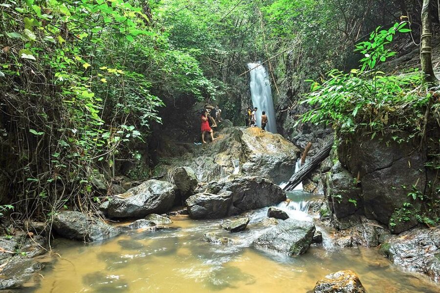 Phuket: Jungle Trekking Experience at Khao Phra Taew - Small group pacing: the upside of fewer people
