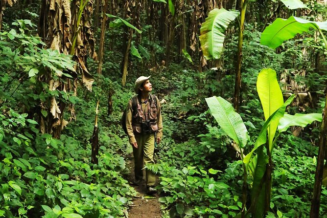 Phuket Jungle Trekking Experience at Khao Phra Taew National Park - Key points worth knowing