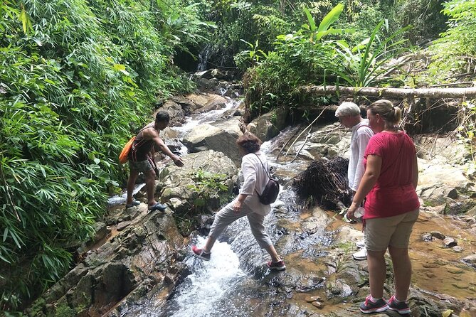 Phuket Jungle Trekking Experience at Khao Phra Taew National Park - Khao Phra Taew National Park at 7:30 a.m.: what this trek feels like