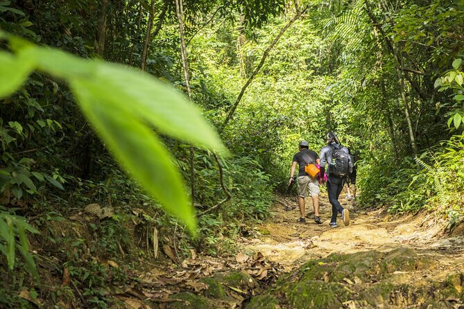 Phuket Jungle Trekking Experience at Khao Phra Taew National Park - Entering the jungle: what happens on the trail