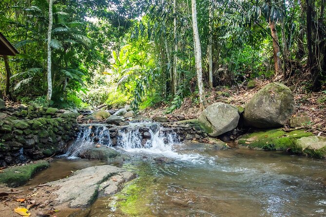 Phuket Jungle Trekking Experience at Khao Phra Taew National Park - The value of having a guide on trails that change