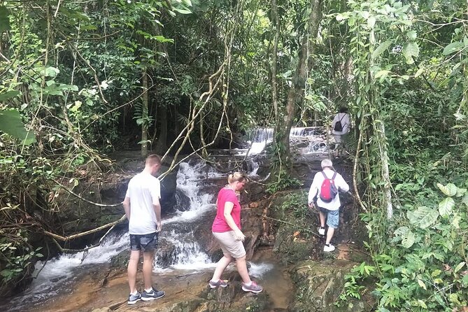 Phuket Jungle Trekking Experience at Khao Phra Taew National Park - Fitness and comfort: who should book, and who should rethink it