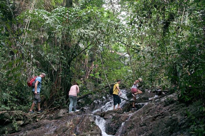 Phuket Jungle Trekking Experience at Khao Phra Taew National Park - Price and value: is $82.29 a fair deal?