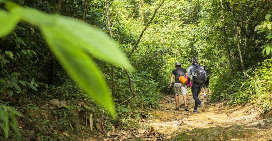 Phuket: Jungle Trekking Experience at Khao Phra Taew - Your route: the 8 km trail and waterfall stops (Ton Sai to Bang Pae)