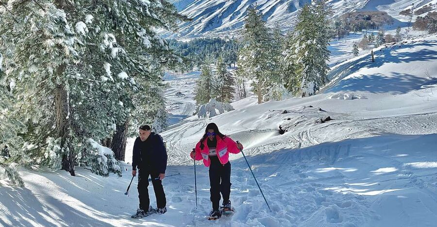 Piano Provenzana: Guided Mt. Etna Snowshoeing Trek - Key things to know before you go
