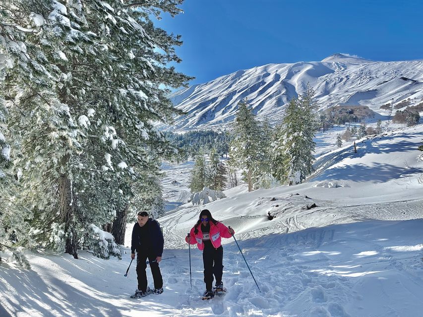 Piano Provenzana: Guided Mt. Etna Snowshoeing Trek - Lava flows to lateral craters: why the route is so memorable