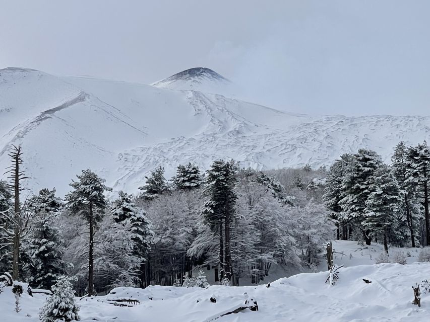 Piano Provenzana: Guided Mt. Etna Snowshoeing Trek - The crater viewpoint at 2,200m: panorama and volcanic gases