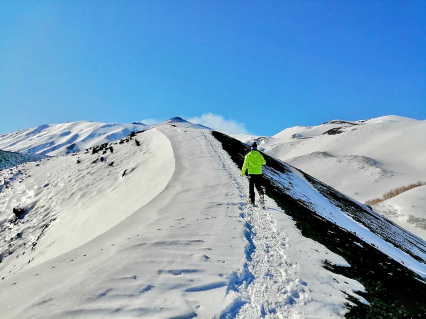 Piano Provenzana: Guided Mt. Etna Snowshoeing Trek - What the snowshoe trek feels like: 5 km, +300 m, and crater-level drama