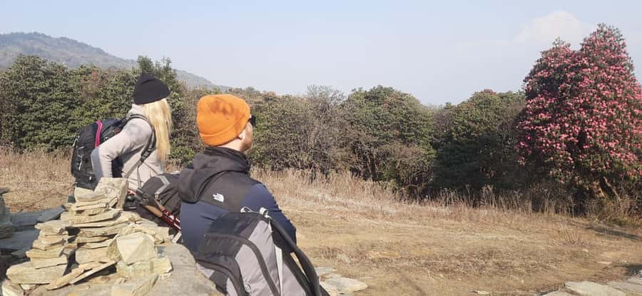 Pkr. Backpacker Group Dep.: 4 Day Mardi Himal Base Camp Trek - Altitude at About 4,500m: Manage the Thin-Air Reality