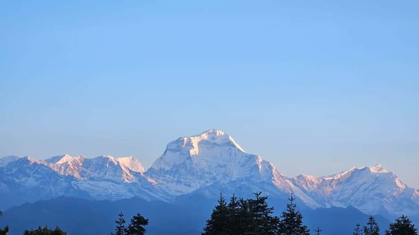 Pokhara: 2 & 3 Days Ghorepani Poon Hill Private Guided Trek - Why This 2–3 Day Poon Hill Trek Hits So Hard
