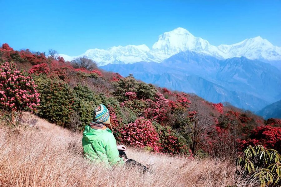 Pokhara: 2 Day Ghorepani & Poon Hill Private Trekking - Getting From Pokhara to Tikhedhunga/Ulleri (Road Reality Check)