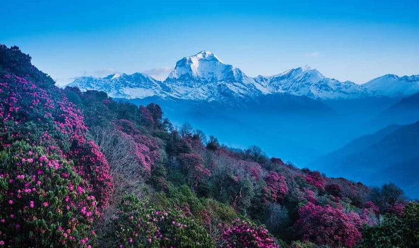 Pokhara: 2-Days Beautiful Poon Hill Trek with Sunrise View - Day 2 sunrise push: the 45–60 minute hike that pays for itself