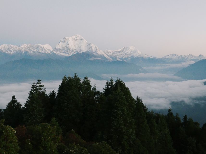 Pokhara: 3-Day Ghorepani and Poon Hill Trek - Day 3: Poon Hill sunrise, Dhaulagiri views, and the descent to Pokhara
