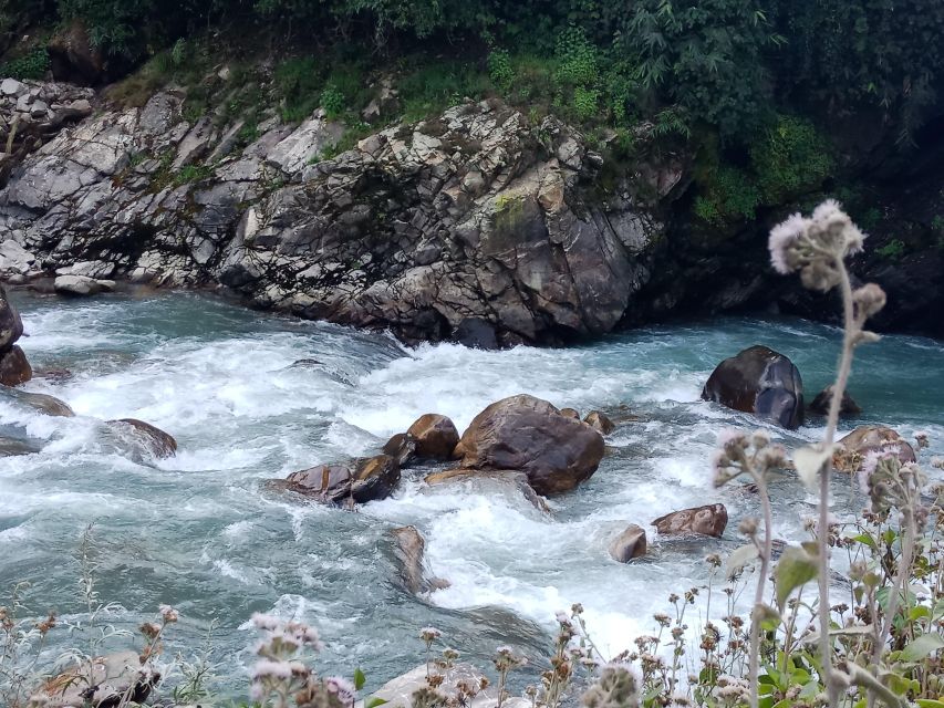 Pokhara: 3-Day Ghorepani, Poon Hill and Ghandruk Guided Trek - Day 2: Poon Hill climb, Annapurna views, and the steep drop to Ghandruk