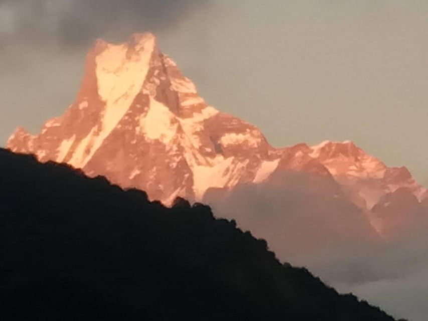 Pokhara: 3-Day Ghorepani, Poon Hill and Ghandruk Guided Trek - Guides, pace, and what to do when the trail gets tough