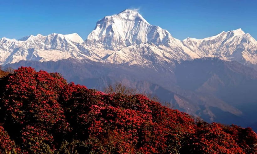 Pokhara: 3-Day Ghorephani and Poon Hill Private Trek - Weather, altitude, and packing: avoid the avoidable discomfort