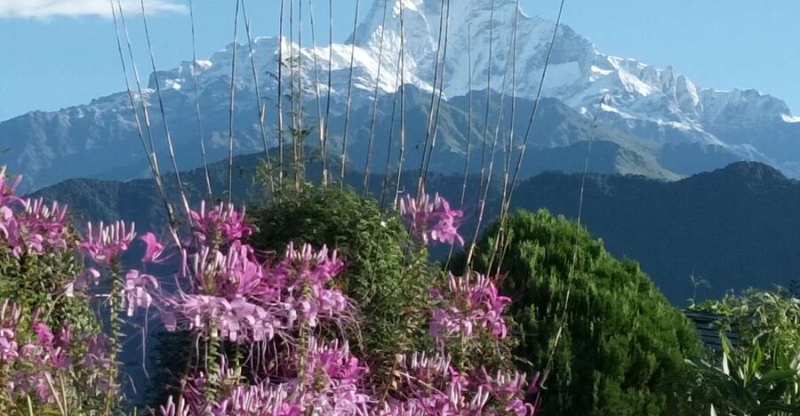 Pokhara: 3-Day Trek - Why This 3-Day Pokhara Trek Feels Like Real Himalaya, Not a Day Trip