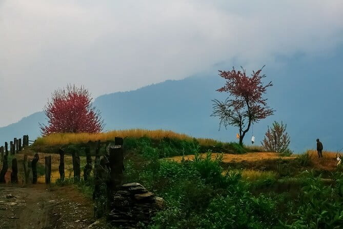 Pokhara 3 Days Ghorepani and Poon Hill Private Trek via Ghandruk - Ghandruk Village: More Than a Stop Along the Way