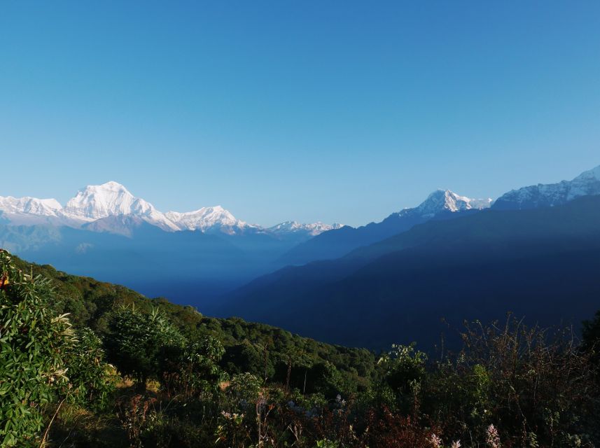 Pokhara:4-Day Ghorepani Poon Hill Guided Trek via Ghandruk - Day 2: The Ulleri step climb to Ghorepani (the real workout)