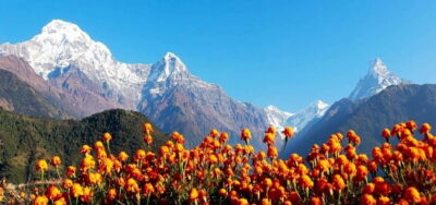 Pokhara: 4-Day Ghorepani, Poonhill & Ghandruk Mountain Trek - Day 1: Pokhara to Ulleri via Nayapool, and why the first hike sets the tone