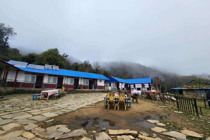 Pokhara: 4-Day Mardi Himal Trek - Day 2: Forest Camp to High Camp (around 3550m) for Rhododendron-Style Climbing