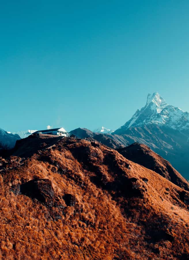 Pokhara: 4-Day Mesmerizing Mardi Himal Guided Trek - Day 2: Forest Camp to High Camp (Dense Jungle, Wildlife Sounds, and Camp Quiet)