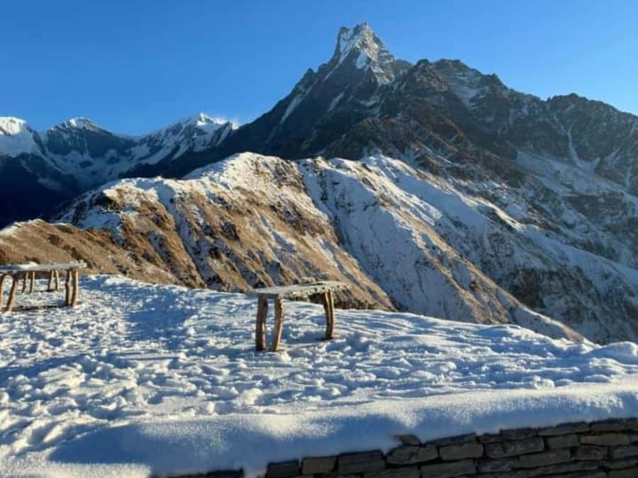 Pokhara: 4-Day Mesmerizing Mardi Himal Guided Trek - Day 3: The 4:00 AM Sunrise Hike to 4300m (Mount Fishtail Arrives)