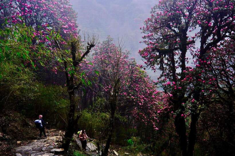 Pokhara: 4-Day Poon Hill and Ghandruk Guided Trek - Ghandruk Culture: Gurung Food, Dress, and Village Life