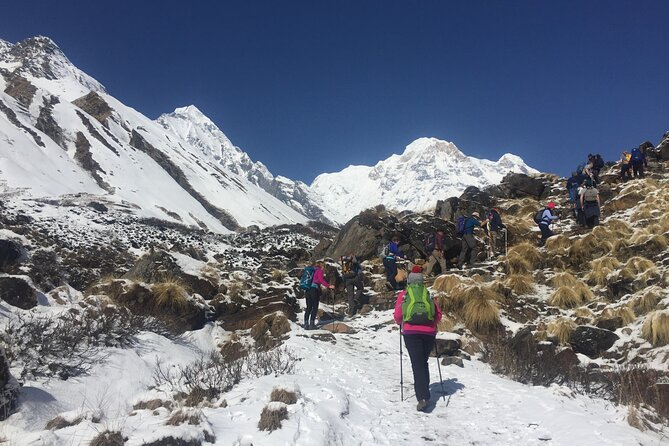 Pokhara: 4 Day Poon Hill Trek - Day 2 to Ghorepani: Ulleri stairs do their thing