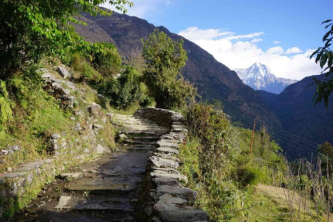 Pokhara: 4 Day Poon Hill Trek - Day 1 to Tikhedhunga: settling into the rhythm