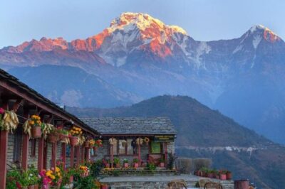 Pokhara: 4 Days Poon Hill and Ghandruk Trek - Ghorepani day: rhododendron forests and a slower kind of climb