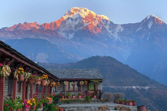 Pokhara: 4 Days Poon Hill and Ghandruk Trek - Ghorepani day: rhododendron forests and a slower kind of climb