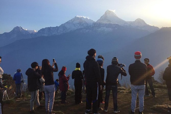 Pokhara: 4 Days Poon Hill - Ghandruk Village Trek - Getting to the trail: Nayapul, Ulleri Football Ground, and that first climb
