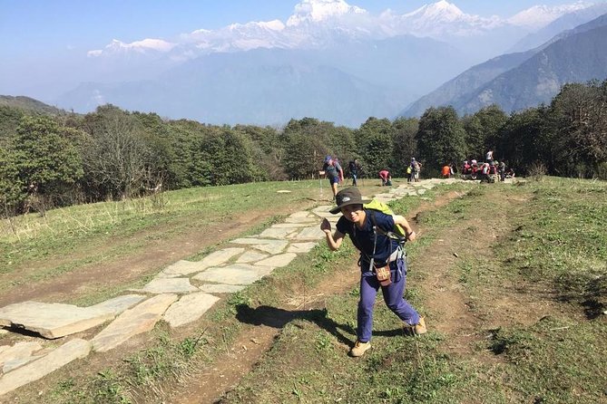 Pokhara: 4 Days Poon Hill - Ghandruk Village Trek - Who this trek suits best (and who should rethink it)