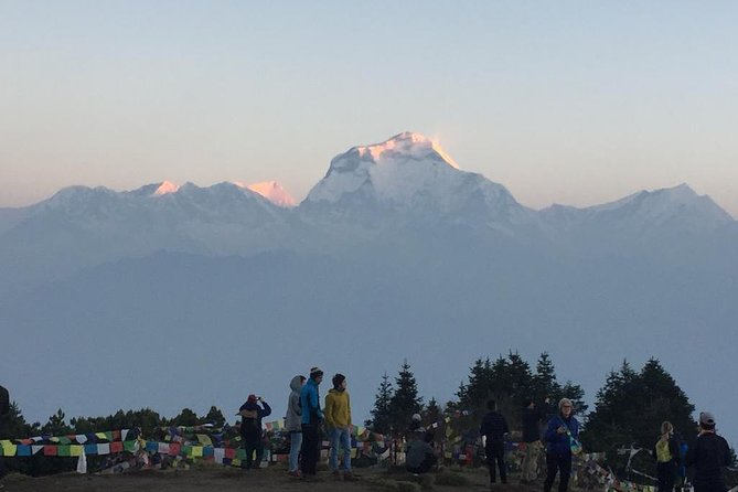 Pokhara: 4 Days Poon Hill - Ghandruk Village Trek - Day 2 to Ghorepani: rhododendron forests, villages, and Annapurna views