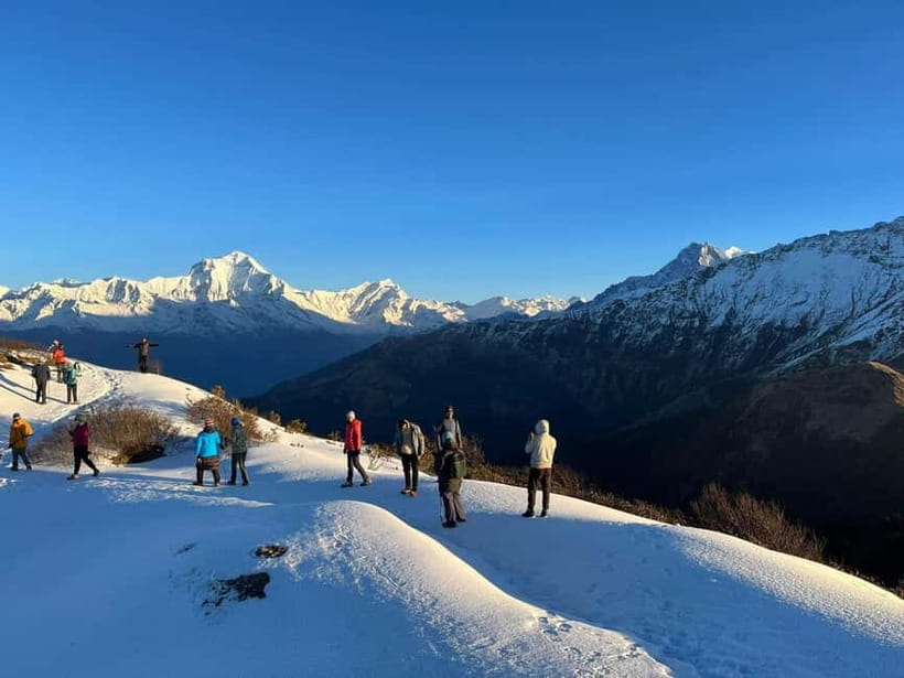 Pokhara: 5-Day Mardi Himal Guided Trek - Mardi Himal from Pokhara: the real value behind $188