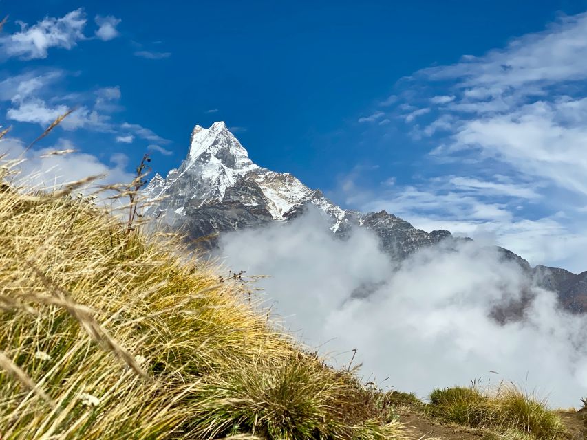 Pokhara: 5-Day Mardi Himal Guided Trek - Guides, permits, and why the paperwork part matters