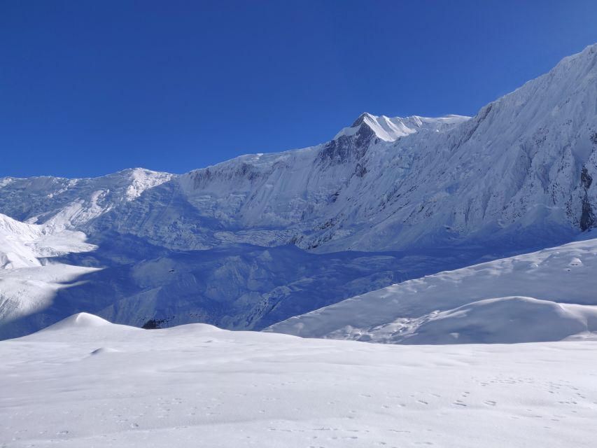 Pokhara: 7 Day Annapurna Base Camp Trek - Day 2: Rhododendron forests, Modi Khola bridges, and Lower Sinuwa