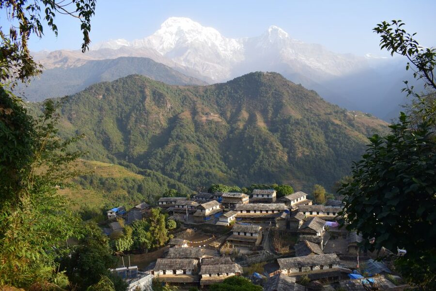 Pokhara: 7 Day Annapurna Base Camp Trek - Day 3: Up to Deurali through bamboo, oak, and tighter air