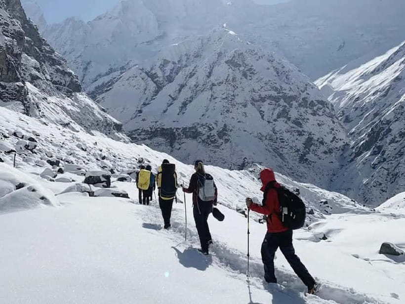 Pokhara: 7-Day Annapurna Base Camp Trek & Natural Hot Spring - Into the rhododendron forest toward Himalaya village