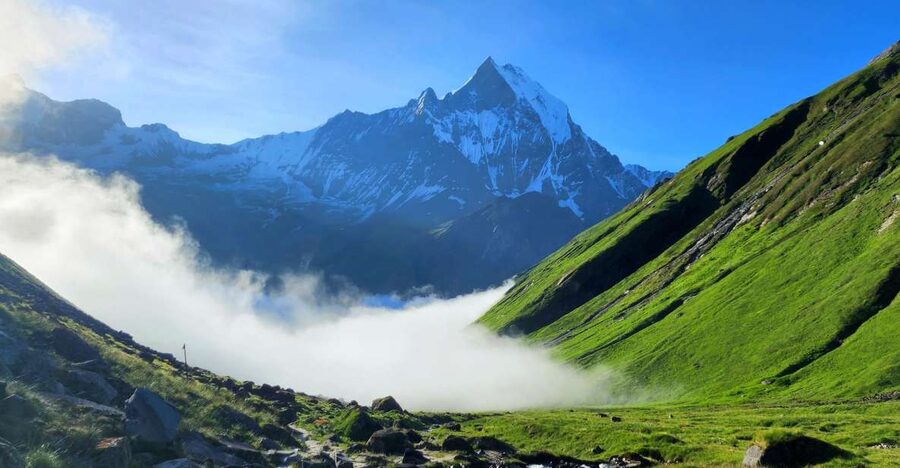 Pokhara: 9-Day Annapurna Base Camp Trek with Poon Hill - Ulleri to Ghorepani: the stairs test, then comfort